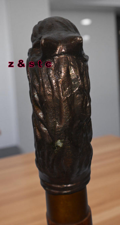 Wooden Walking Stick with Brass Lion Head Handle – Vintage Style Cane